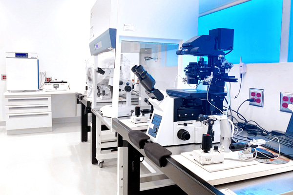 美國EDEN伊甸園生殖醫院(圖5) 美國EDEN伊甸園生殖醫院(圖4)