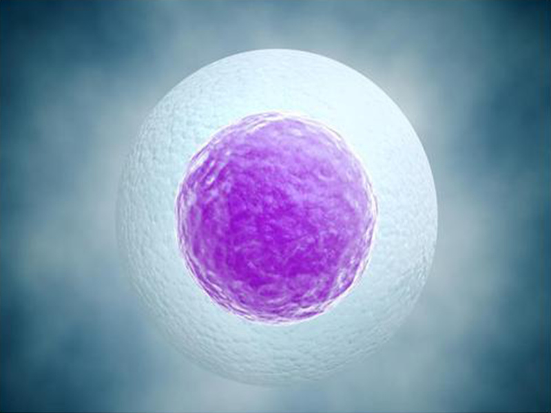 無論是自然周期還是人工周期，都不會影響試管嬰兒成功率(圖4)