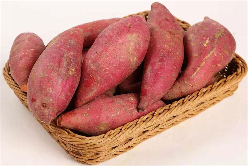 試管嬰兒移植后的飲食注意事項，可否食用紅薯呢？(圖1)