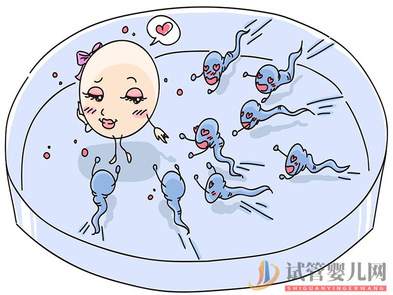 什么是PGS和PGD 它在三代試管中有哪些作用？(圖1)