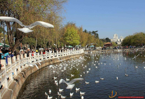 昆明試管嬰兒哪個醫院好？成功率排名參考(圖1)