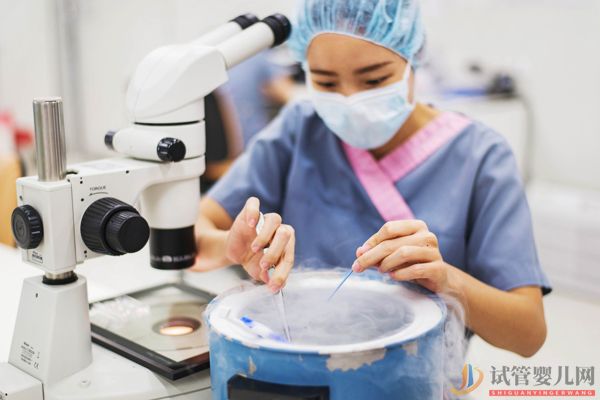 馬來西亞試管嬰兒流程(圖8)