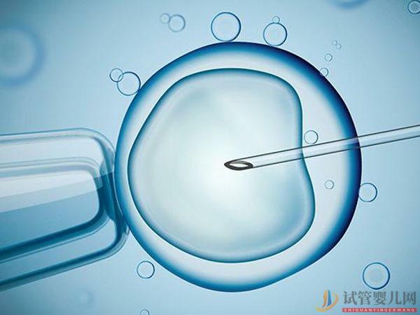 柬埔寨試管嬰兒流程(圖7)