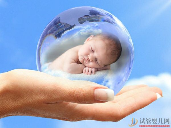 泰國試管嬰兒流程(圖8)