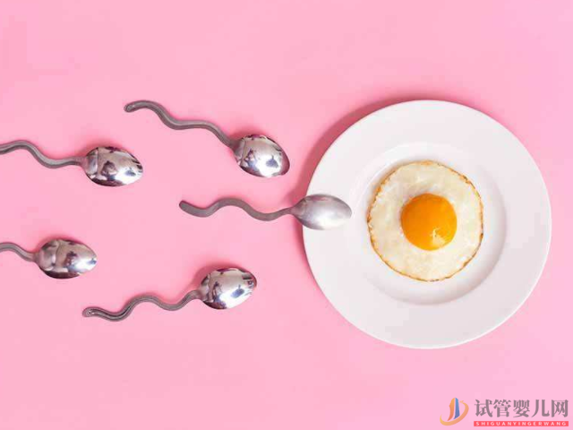 排卵日前三天以及后兩天的受孕幾率都是非常高的(圖2)