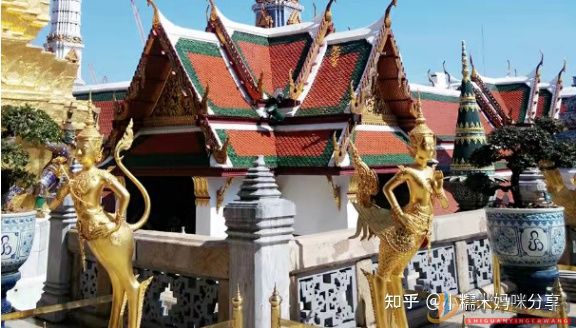 三門峽不想結婚,然后是單身可以試管嗎(圖2)