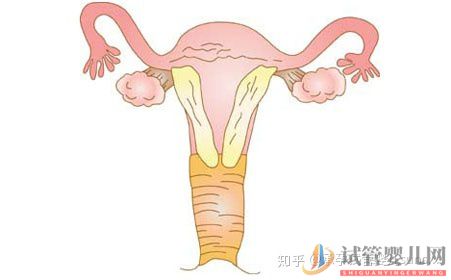 這四種男女,要盡早做試管嬰兒(圖2)