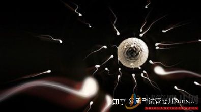 這四種男女,要盡早做試管嬰兒(圖5)