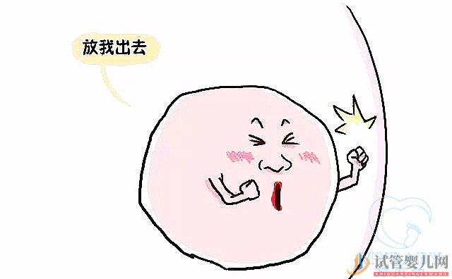 不排卵可以做試管嬰兒？孖寶告訴你！(圖1)