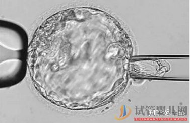 一代、二代、三代試管嬰兒究竟有什么區別(圖4)