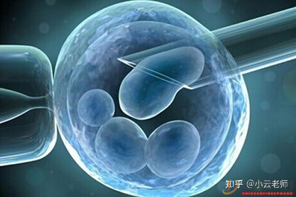 全面解讀一代、二代、三代試管嬰兒的區(qū)別(圖2)