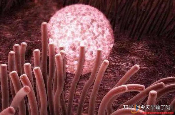 西昌第三代試管嬰兒技術,有哪些優點和缺點(圖4)