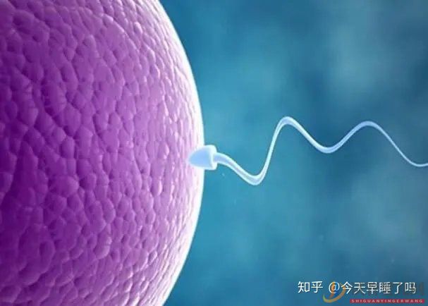 西昌第三代試管嬰兒技術,有哪些優點和缺點(圖5)