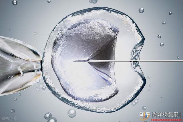 西昌試管嬰兒和普通嬰兒到底有什么不同(圖2)