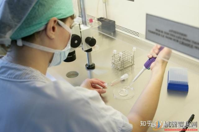 西昌試管嬰兒和普通嬰兒有什么區別(圖2)