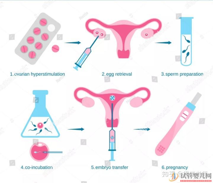 西昌試管嬰兒和正常嬰兒有什么區別(圖4)