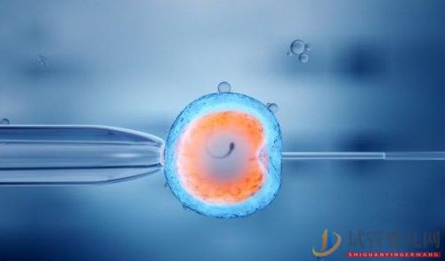 做試管嬰兒的最佳年齡是幾歲(圖1)