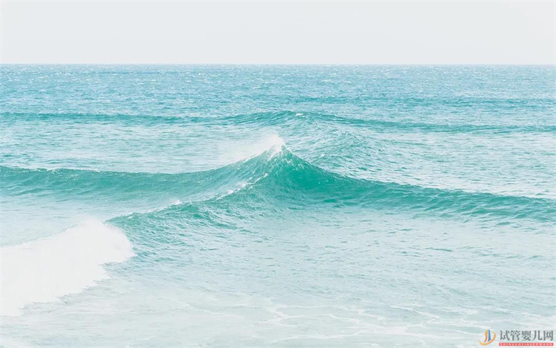 做試管需要做哪些檢查(單親做試管需要哪些手續(xù))試管嬰兒怎么做的全過(guò)程(圖1) 做試管需要做哪些檢查(圖1)