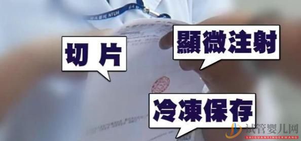 林志玲被曝做“三代試管”,已花費40萬臺幣,生下龍鳳胎機率大(圖10)