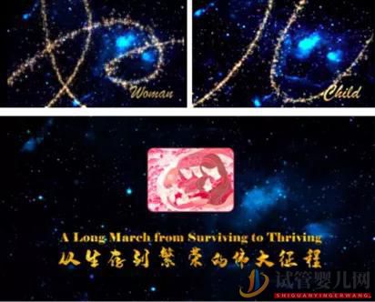 南昌3800萬不孕女性,輔助生殖會是她們最后的救命稻草嗎(圖2)