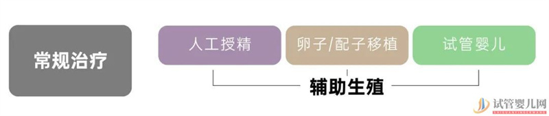 試管嬰兒可以報銷了,你可能需要這篇輔助生(圖3) 試管嬰兒可以報銷了,你可能需要這篇輔助生(圖2)