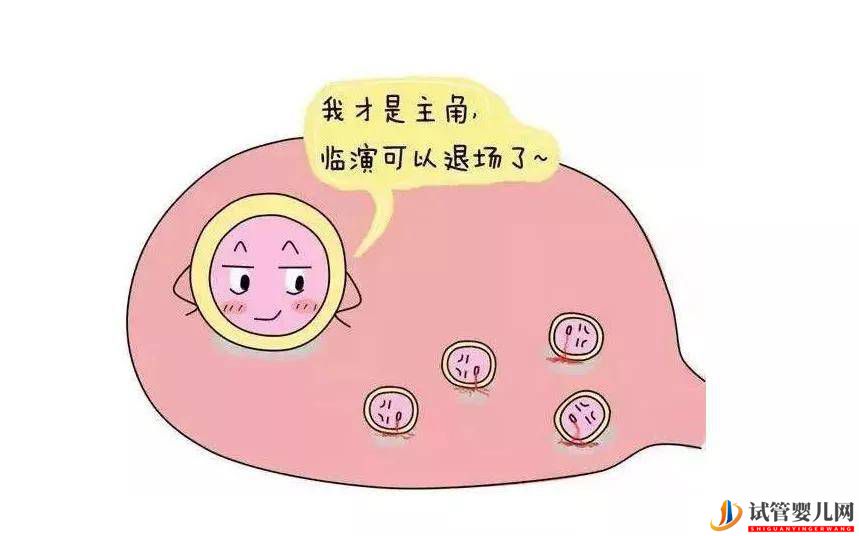 廣州試管促排是“殺雞取卵”？取卵的數量誰來決定_(圖1)