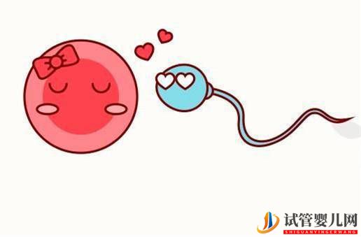 西安進入試管周期治療后取卵取精的順序是怎么樣的？(圖1)