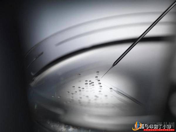 太原直觀(guān)分析試管嬰兒成功率高嗎(圖1) 太原直觀(guān)分析試管嬰兒成功率高嗎(圖1)