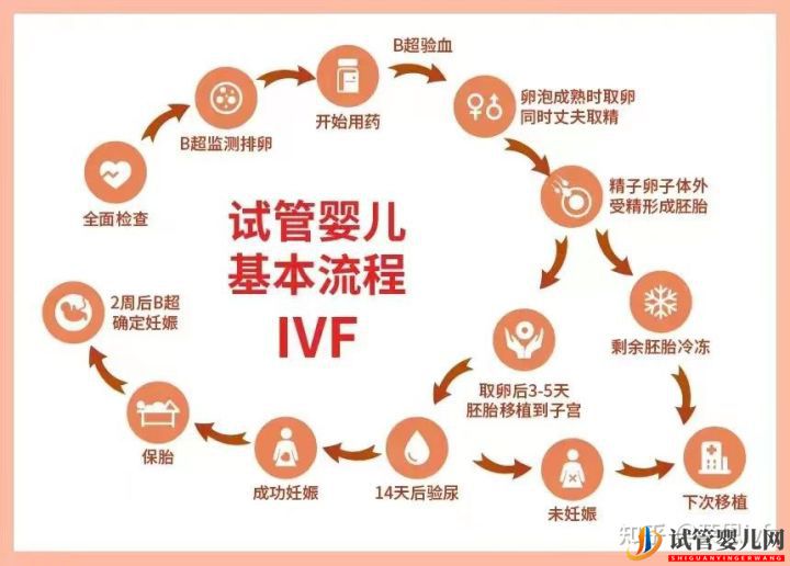 試管嬰兒詳細全流程(圖1)