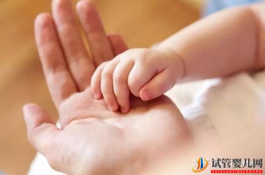 試管嬰兒取卵后到胚胎移植需要多久(圖1)