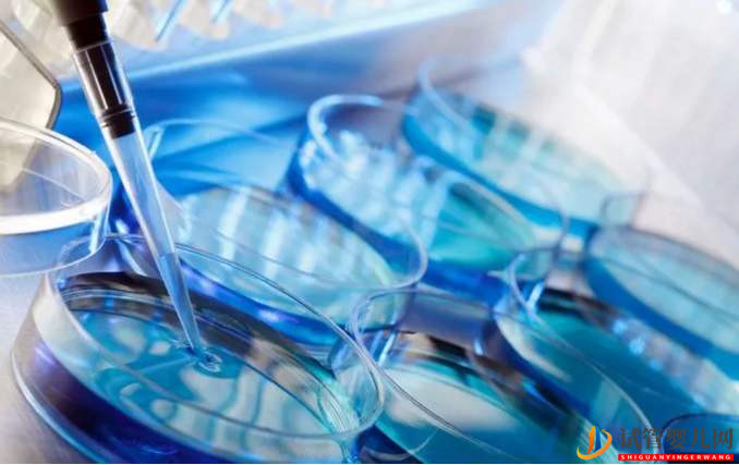 試管嬰兒網(wǎng):取卵多為什么可移植胚胎數(shù)不多?卵泡和試管成功率的關(guān)系(圖3) 和田取卵多為什么可移植胚胎數(shù)不多?卵泡和試管成功率的關(guān)系(圖2)