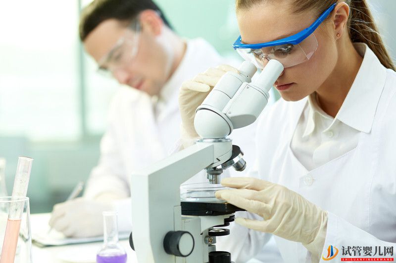 試管胚胎移植后應該怎么做(圖1)