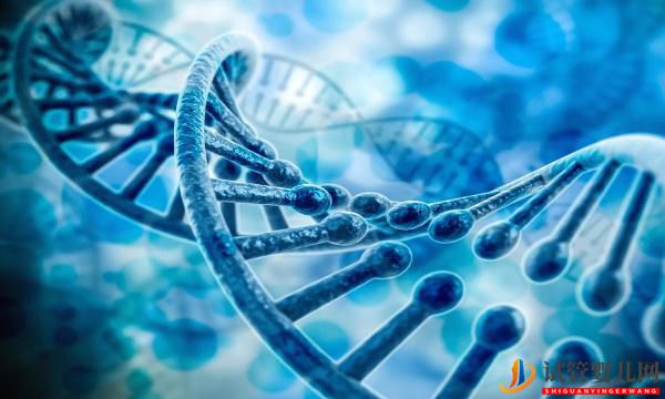 試管嬰兒網(wǎng):這四類女性試管胚胎移植的成功率非常高!(圖2) 這四類女性試管胚胎移植的成功率非常高!(圖1)