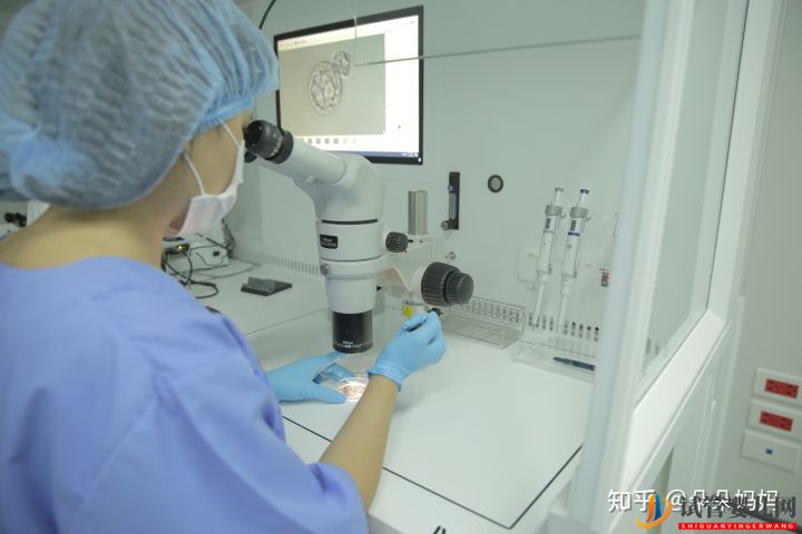 試管嬰兒過程要多久你真的清楚嗎(圖1)