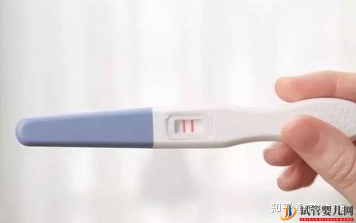 12步看懂試管嬰兒全流程,不用在擔心不知道怎么做了(圖6)