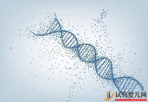 試管嬰兒網:3分鐘教你看懂胚胎等級報告(圖7) 3分鐘教你看懂胚胎等級報告(圖7)