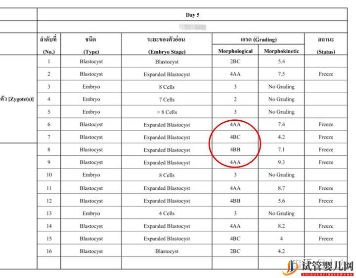 8分鐘帶你了解關于囊胚等級的一切(圖1)