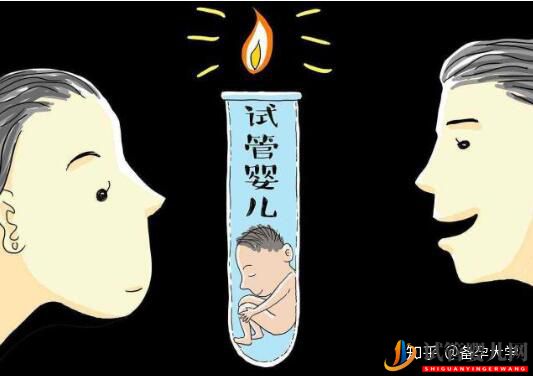 做一次試管嬰兒價格一般要多少錢(圖1)