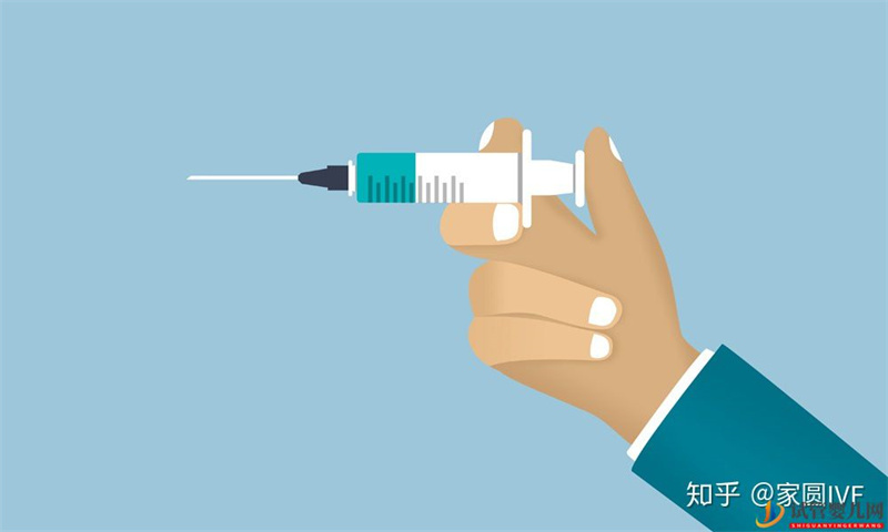 做一回試管嬰兒大約需要多長(zhǎng)時(shí)間(圖2)