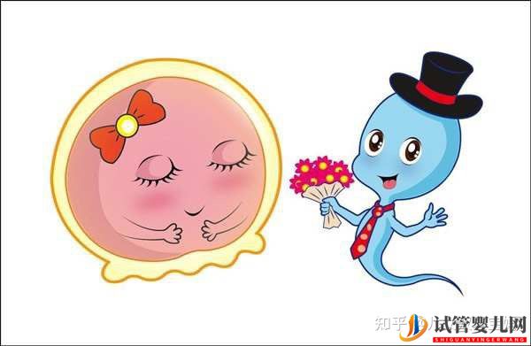 備孕懷男孩_兒子的科學(xué)方法如下(圖2)