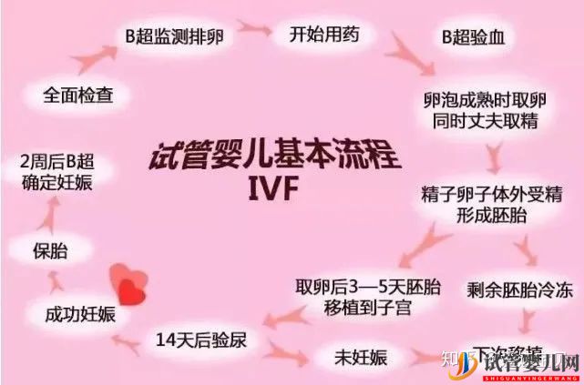 成功的女人,花50萬做試管嬰兒,試管過程你得知道(圖1)