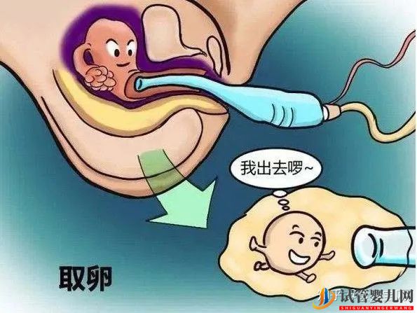 成功的女人,花50萬做試管嬰兒,試管過程你得知道(圖9)