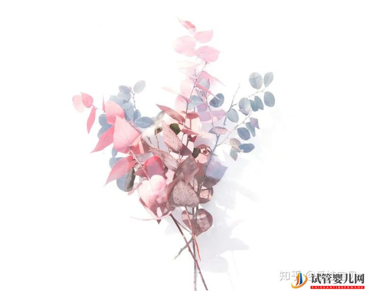 成功的女人,花50萬做試管嬰兒,試管過程你得知道(圖15)