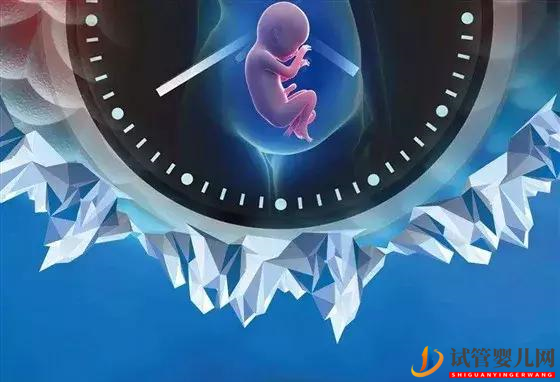 試管嬰兒技術(shù)的9大操作流程(圖1)