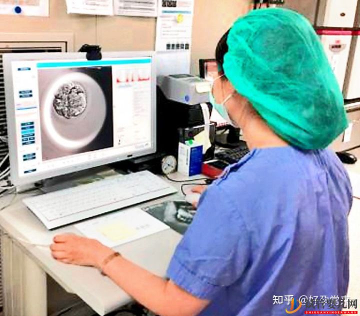 試管嬰兒流程步驟(圖2)