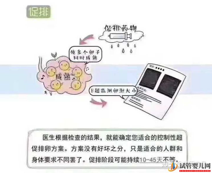 試管嬰兒流程圖,拿走不謝(圖2)