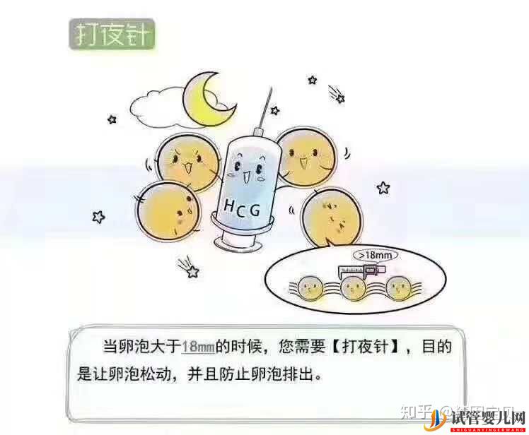 試管嬰兒流程圖,拿走不謝(圖3)
