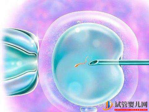 淄博試管嬰兒流程中,取卵并不是最疼的那一個!(圖4)