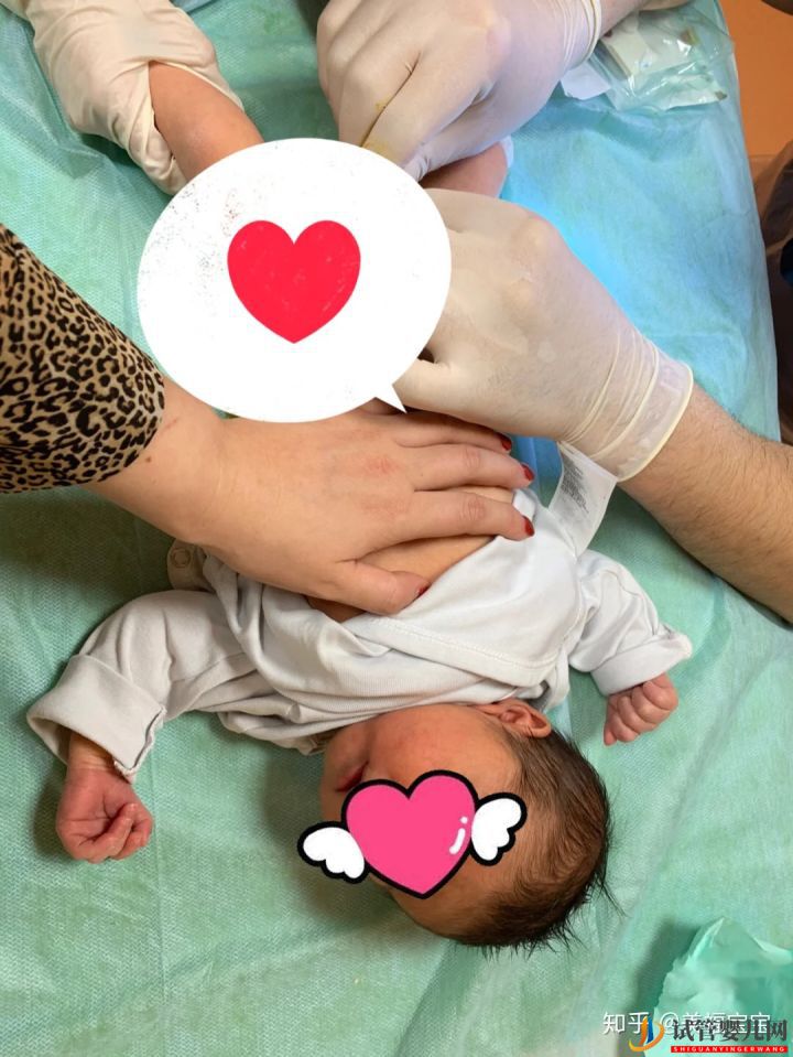 一分鐘教你讀懂,試管嬰兒全流程(圖2)