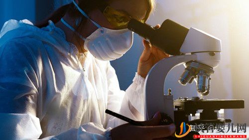 廣州試管選男孩流程和費用詳解(圖1)